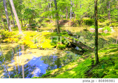 京都、西芳寺（苔寺）の庭園 80896981