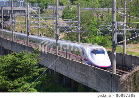 はやて・E2系・東北新幹線(福島県・郡山市) はやて・E2系・東北新幹線(福島県・郡山市) 80897288