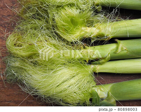 収穫したばかりの皮つきのヤングコーン 収穫したばかりの皮つきのヤングコーン 80898003