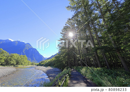 上高地　大正池から田代池から河童橋 80898233