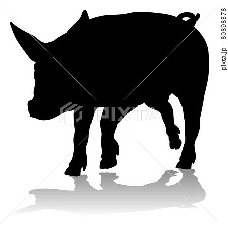 Pig Silhouette Farm Animal 80898378