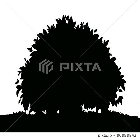 Big bush. Vector drawn icon Big bush. Vector drawn icon 80898842