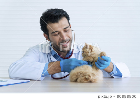Veterinarian health care animal concept. Veterinary doctor young man wear uniform, blue latex gloves Veterinarian health care animal concept. Veterinary doctor young man wear uniform, blue latex gloves 80898900
