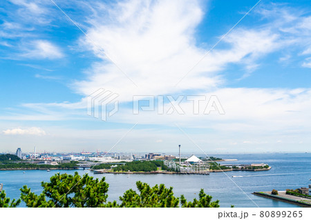 【神奈川県】晴天の八景島シーパラダイス 80899265