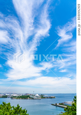 【神奈川県】晴天の八景島シーパラダイス 【神奈川県】晴天の八景島シーパラダイス 80899269