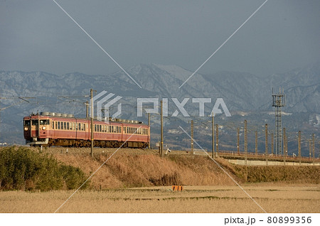 北陸本線を走る急行型電車475系（復活急行色） 80899356