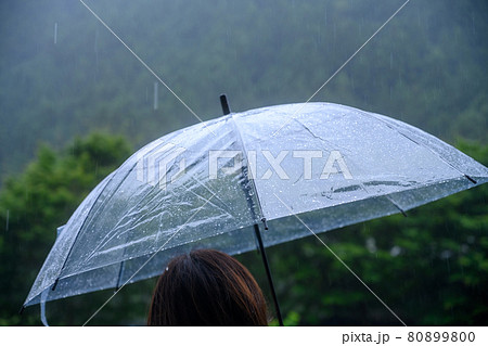 雨なので傘をさす 80899800