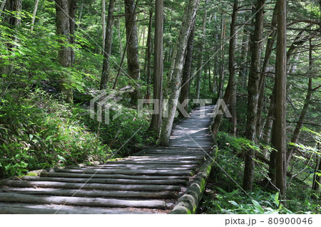 上高地 河童橋から明神 上高地 河童橋から明神 80900046