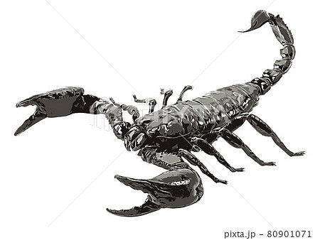 Scorpion isolated Scorpion isolated 80901071