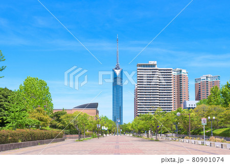 福岡市早良区百道浜の福岡タワー　青空快晴　福岡市総合図書館そば 80901074