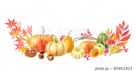 サンクスギビングデー、ハロウィンの装飾水彩イラスト。フレームデザイン。カボチャや栗、柿の収穫。 80902825