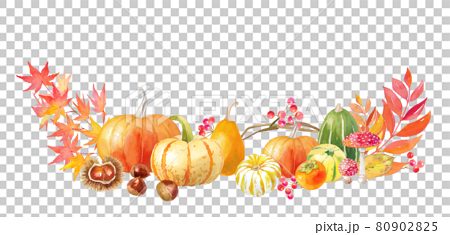 サンクスギビングデー、ハロウィンの装飾水彩イラスト。フレームデザイン。カボチャや栗、柿の収穫。 80902825