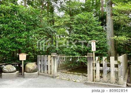 鎌倉市　鶴岡八幡宮境内の由比若宮遙拝所と鶴亀石と深緑 80902854