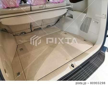 ランドクルーザー300　ラゲージ　リアハッチ 80903298
