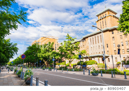 神奈川県庁と日本大通り 80903407