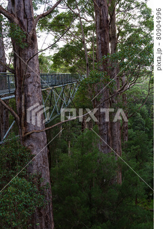 オーストラリア デンマークのバレー・オブ・ザ・ジャイアンツ オーストラリア デンマークのバレー・オブ・ザ・ジャイアンツ 80904996