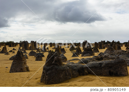 オーストラリア　ナンバン国立公園のピナクルズ 80905149