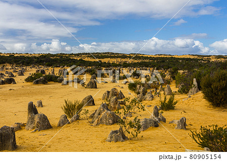 オーストラリア　ナンバン国立公園のピナクルズ 80905154