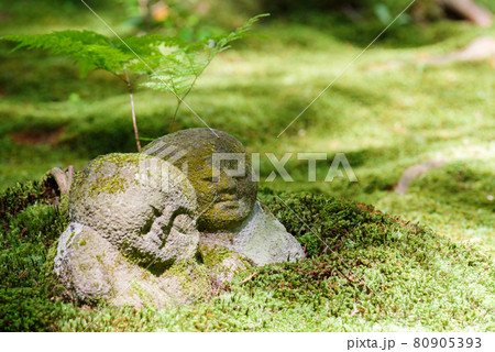 【三千院】日陰のわらべ地蔵様 80905393