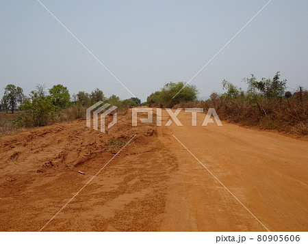【マダガスカル】 乾燥した赤土のオフロード 80905606