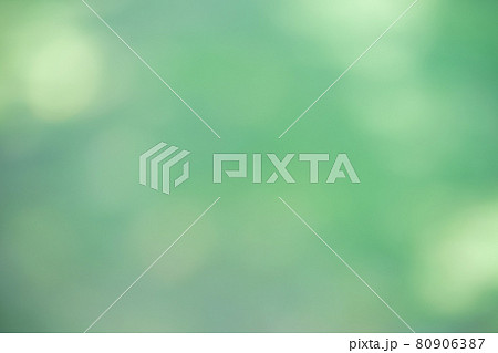 真夏の木蔭・木漏れ日の影のボケ表現3 80906387