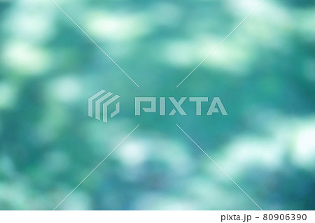 真夏の木蔭・木漏れ日の影のボケ表現6 80906390