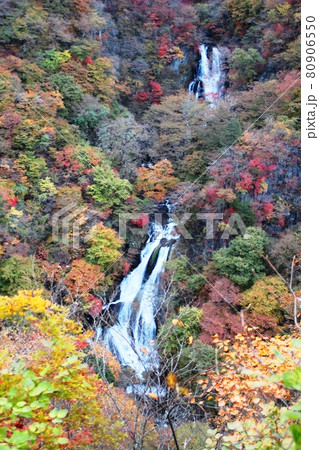 紅葉に彩られる霧降の滝 紅葉に彩られる霧降の滝 80906550