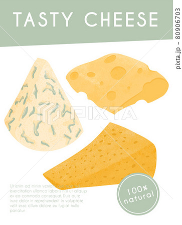 Swiss or French cheese vector flat poster concept. Gouda, Parmesan, Brie, Roquefort or Maasdam. 80906703