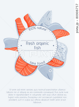 Fresh tasty salmon fillets, sea fishes vector hand drawn poster design with space for text. 80906757