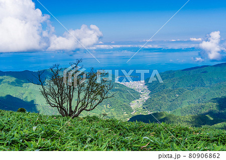【静岡県】達磨山・山頂から眺める戸田の町、駿河湾、静岡方面 80906862