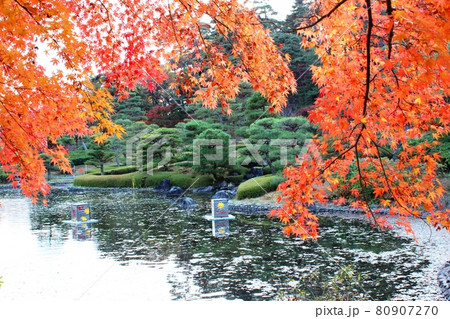 紅葉に彩られる翠楽園　南湖公園 80907270
