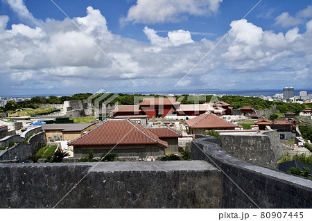 東のアザナから見る首里城　焼失後 80907445
