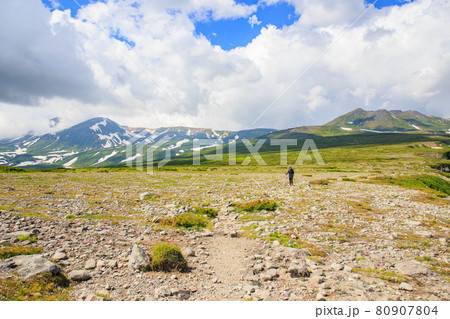 大雪からトムラウシへと続く縦走路にて 大雪からトムラウシへと続く縦走路にて 80907804