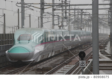 東北新幹線E5系(盛岡以北:10両編成) 東北新幹線E5系(盛岡以北:10両編成) 80908075