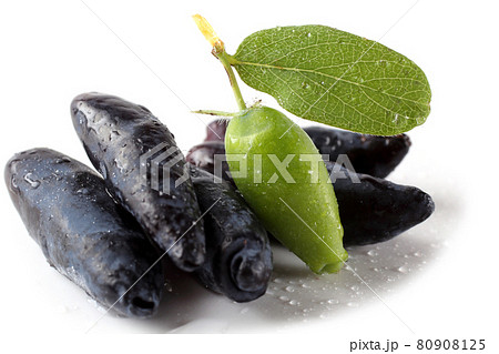 Honeyberry isolated on white. Ripe and unripe berries 80908125