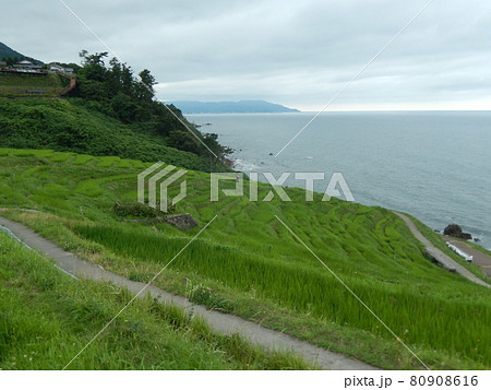 日本海と白米千枚田 80908616