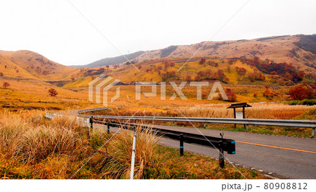 Side view of the countryside highway up to the hill with yellow grass field and some of deciduous trees in autumn 80908812