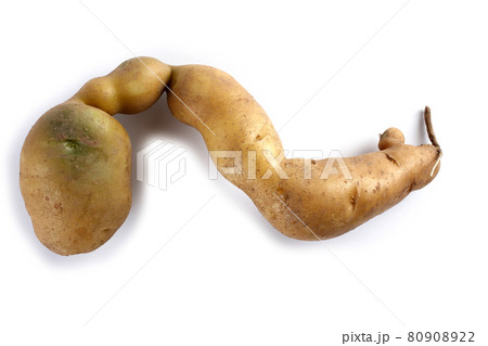 Funny ugly potato Funny ugly potato 80908922