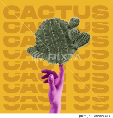 Contemporary art collage. Minimal cactus design with pink male hand Contemporary art collage. Minimal cactus design with pink male hand 80909383