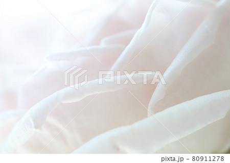 Soft pink Rose petals macro closeup 80911278
