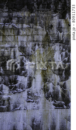 カナダ　酷寒の廃墟の壁 80911733
