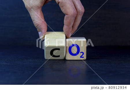 CO2 or O2 symbol. Businessman turns the wooden cube and changes words 'CO2, carbon dioxide' to 'O2, oxygen'. Beautiful grey background, copy space. Business, ecological and carbon neutral concept. 80912934