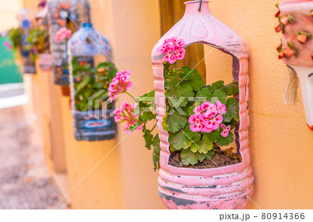 A Colorful way in Alghero, Sardinia, Italy A Colorful way in Alghero, Sardinia, Italy 80914366