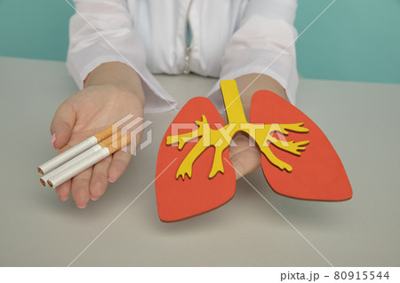 Wooden model of lung and cigarette in the hands of a nurse. Smoking addiction Wooden model of lung and cigarette in the hands of a nurse. Smoking addiction 80915544