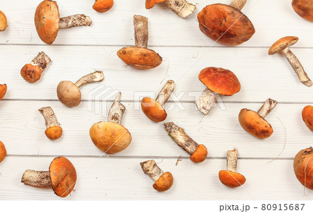 Top down view - fresh forest mushrooms, Red-capped scaber stalk (Leccinum aurantiacum / albostipitatum), on white wood boards. Top down view - fresh forest mushrooms, Red-capped scaber stalk (Leccinum aurantiacum / albostipitatum), on white wood boards. 80915687