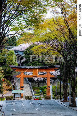 宇都宮　二荒山神社 80916896