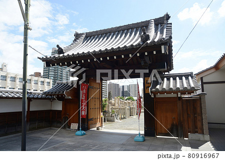 四天王寺　乾門　大阪市天王寺区 80916967