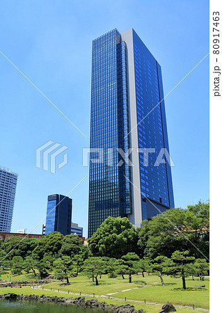 東京　港区　旧芝離宮恩賜庭園から見た世界貿易センタービルディング南館 80917463