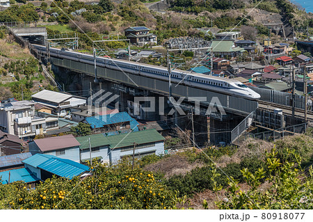 【ミカン畑を疾走する東海道新幹線N700A】 80918077