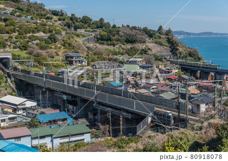 【ミカン畑を駆け抜ける東海道線E233系】 80918078